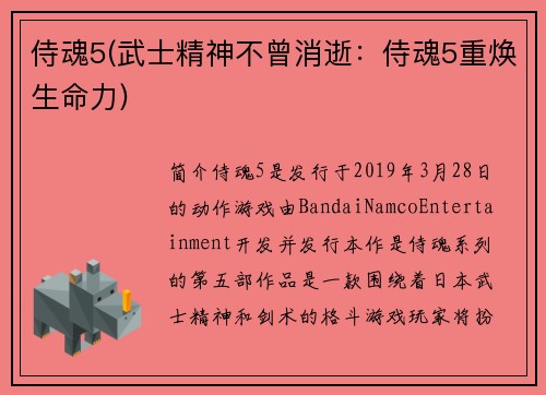 侍魂5(武士精神不曾消逝：侍魂5重焕生命力)